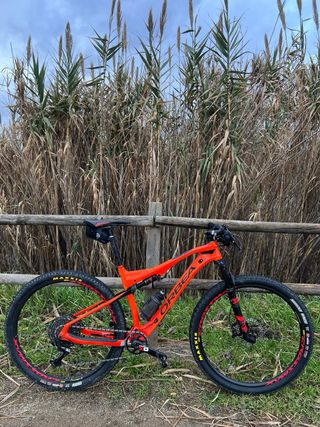 Orbea Oiz - L