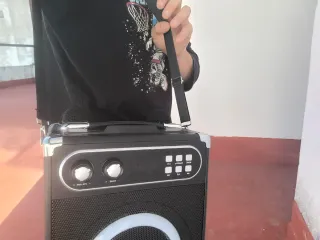 Altavoz Karaoke Portátil MusyVocay NT-002 +2Micros