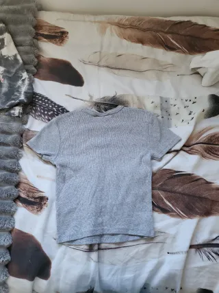 Camiseta gris Blink 182