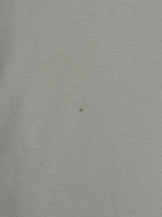 Camiseta Y-3 Blanca Original