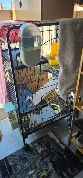 Jaula para roedores ( conejos, hamster, coballas )