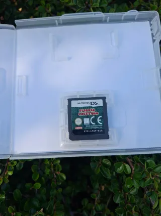 Pack DS Moto Racer + Flipper Critters