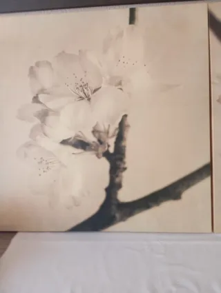 3 Cuadros Decorativos IKEA Flores MIDE 55X 55.