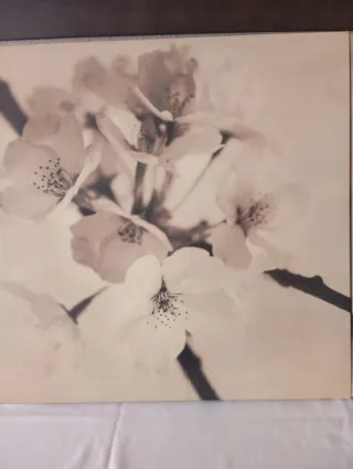 3 Cuadros Decorativos IKEA Flores MIDE 55X 55.