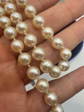 Collana Perle Akoya Oro Bianco 18kt Diamanti