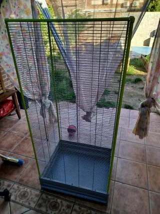 Jaula Voladera Grande