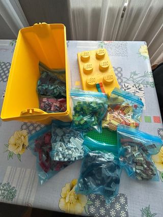 Caja Ladrillos LEGO Grande 10698