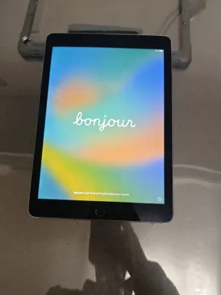Apple iPad Pro 9.7 Plata/Gris Espacial