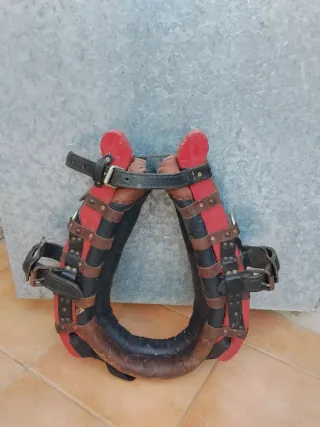 Collerón para caballos pequeño