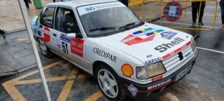 Peugeot 309 1991