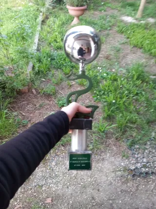 Coppa Judo 1° Posto 1981