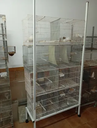 Lote Jaulas Cría Canarios Plata y Blanco