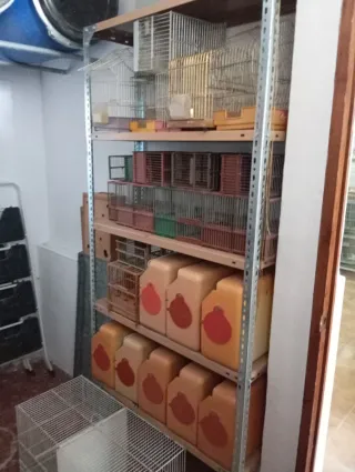 Lote Jaulas Cría Canarios Plata y Blanco