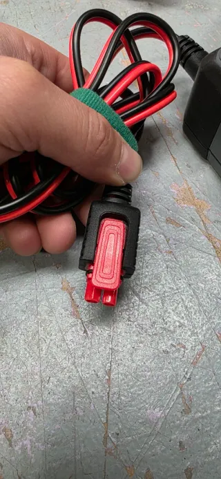 Carregador de Bateria Bosch C30