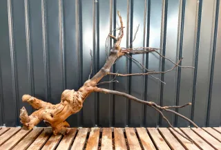 Raíz/tronco Decoración Acuario