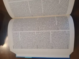 Le Garzantine cinema