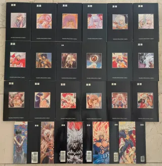 Bastard! Tomos del 1 al 23 Manga Cómics