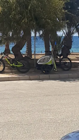 Remolque bici para 2 niños
