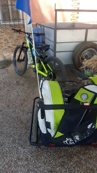 Remolque bici para 2 niños