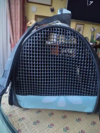 Transportín para gatos azul y gris