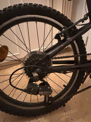 Bici Monty 20 para niños