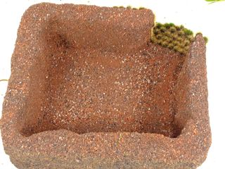 Refugio para reptiles
