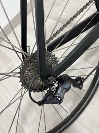 Bicicleta de carretera Wolfbike atreides