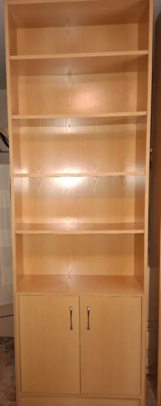 REBAJADO!! Estantería de madera con puertas