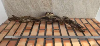 Tronco natural para acuario o terrario