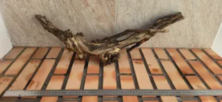 Tronco natural para acuario o terrario