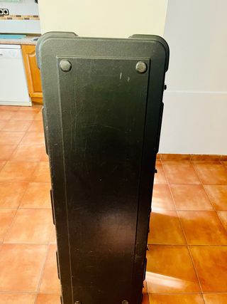 Music Man StingRay Special HH – Blue Pearl & Match