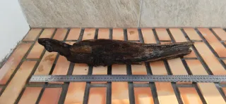 Tronco para acuario o terrario