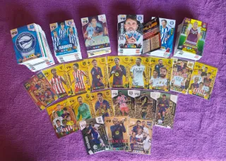 Panini Adrenalyn XL Cards