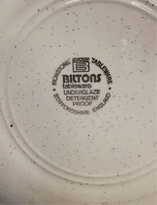 6 platos vintage Biltons Ironstone diseño floral
