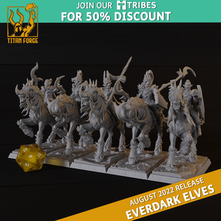 Elfos Oscuros - I Everdark Elves TF