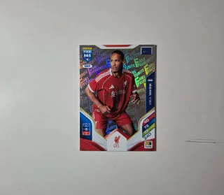 Panini FIFA 365 Cards - Fans Favourite