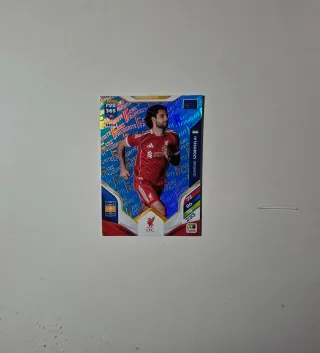 Panini FIFA 365 Cards - Fans Favourite