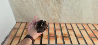 Tronco para acuario o terrario