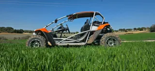 Buggy PGO 500i BUG RACER