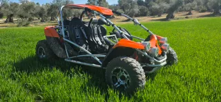Buggy PGO 500i BUG RACER