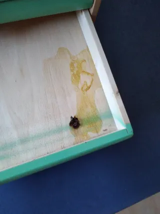 Mueble Cajonera Mercería La Paleta