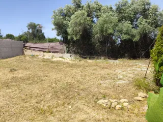 Parcela rustica