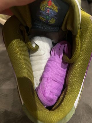 Nike Dunk Low Alexis Sablone Chameleon 40.5