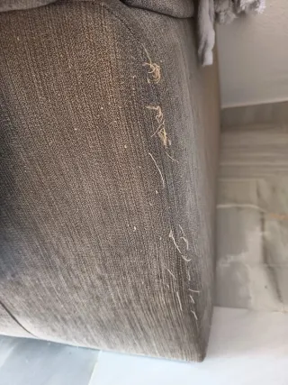 Sofá y sillón marrón de tela