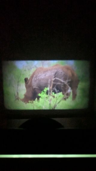 Proyector  Móvil Smartphone Verde