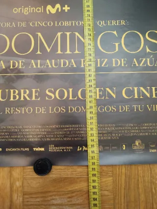 Póster de cine Los Domingos