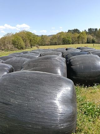 Rulos de silo