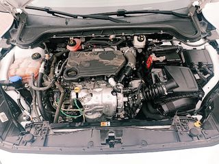 Ford Focus 1.5 Ecoblue TDCI 95 cv