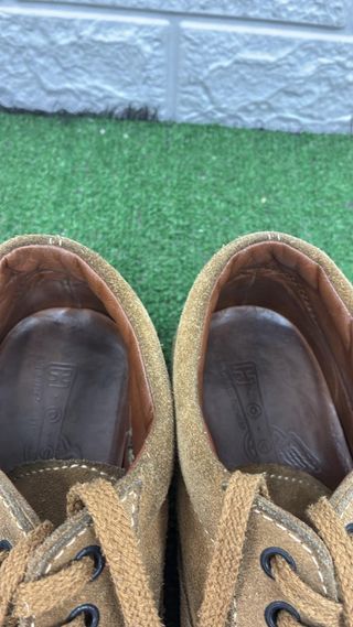 Scarpe Hogan scamosciate uomo
