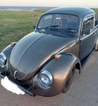 Volkswagen Beetle 1980